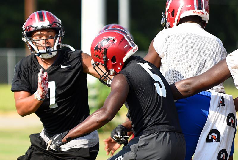 Dothan High Wolves begin football practice